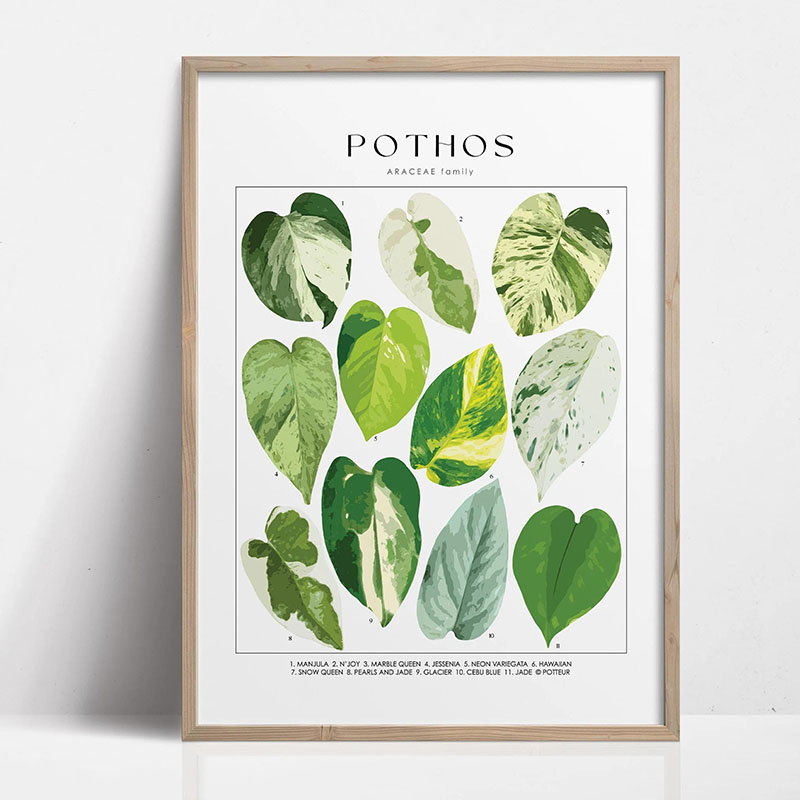 1pc Modern Houseplants Leaves  - Photography Pose recension och pris