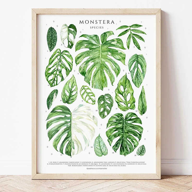 1pc Modern Houseplants Leaves  - Photography Pose recension och pris