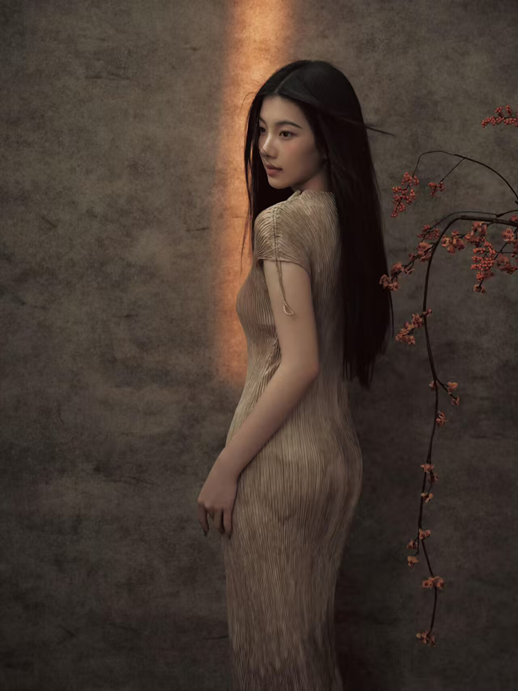 New 2026 Chinese Style Portrai - Photography Vintage Style recension och pris