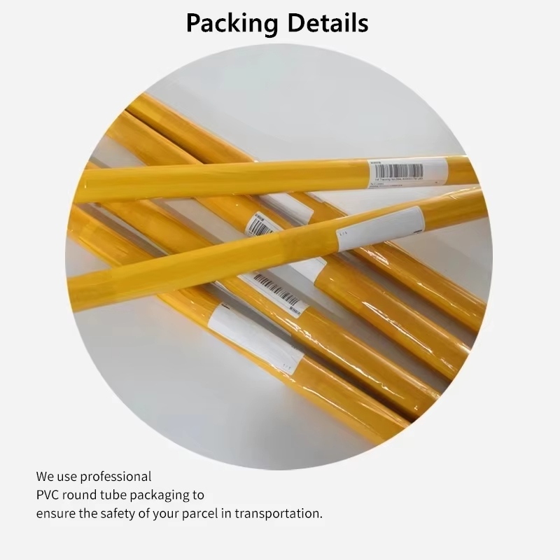 (No frame)(No frame)African Sa - Photography Zebra recension och pris